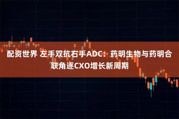 配资世界 左手双抗右手ADC：药明生物与药明合联角逐CXO增长新周期
