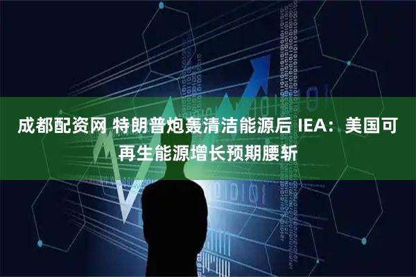 成都配资网 特朗普炮轰清洁能源后 IEA:美国可再生能源增长预期腰斩