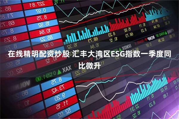 在线精明配资炒股 汇丰大湾区ESG指数一季度同比微升
