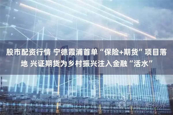 股市配资行情 宁德霞浦首单“保险+期货”项目落地 兴证期货为乡村振兴注入金融“活水”